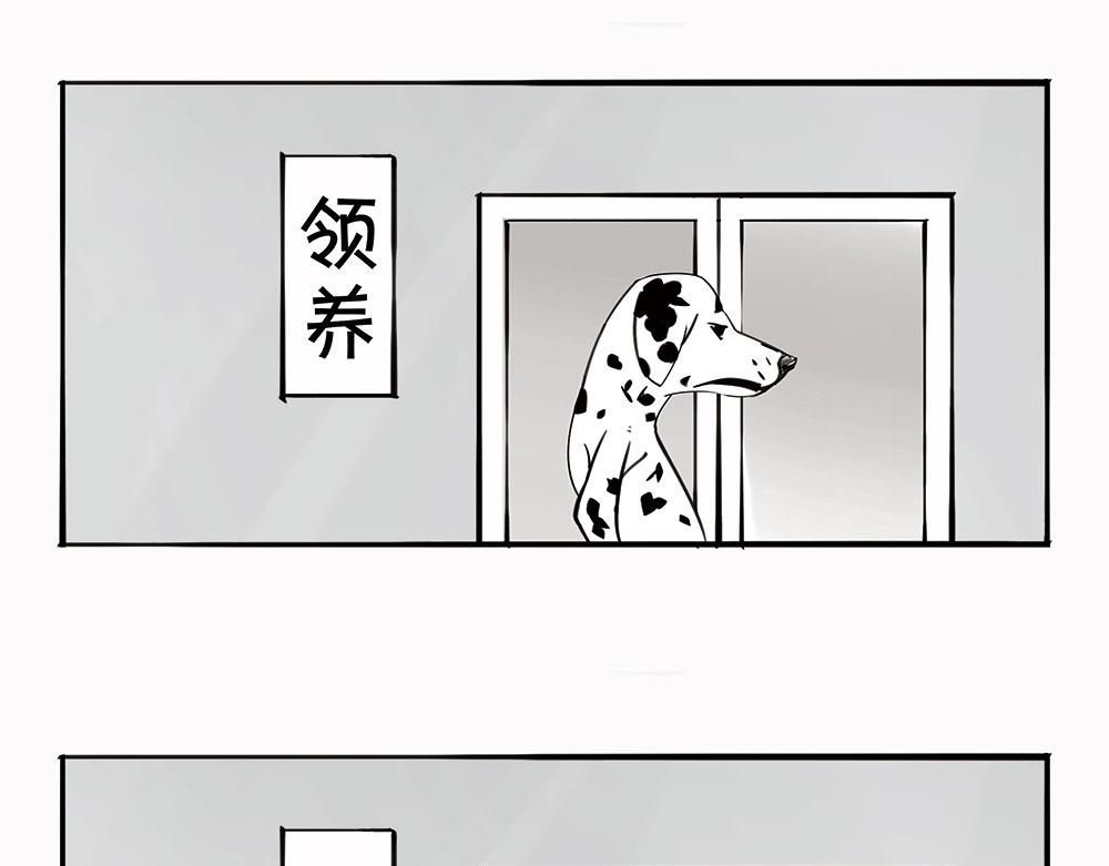 《1小时看懂相对论》宠物医院 第34页