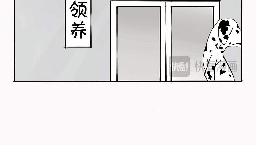 《1小时看懂相对论》宠物医院 第35页