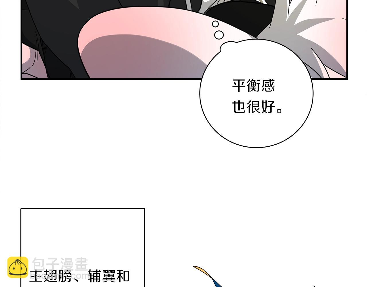 《我有一只三星龙》第38话 飞龙接力赛！ 第25页