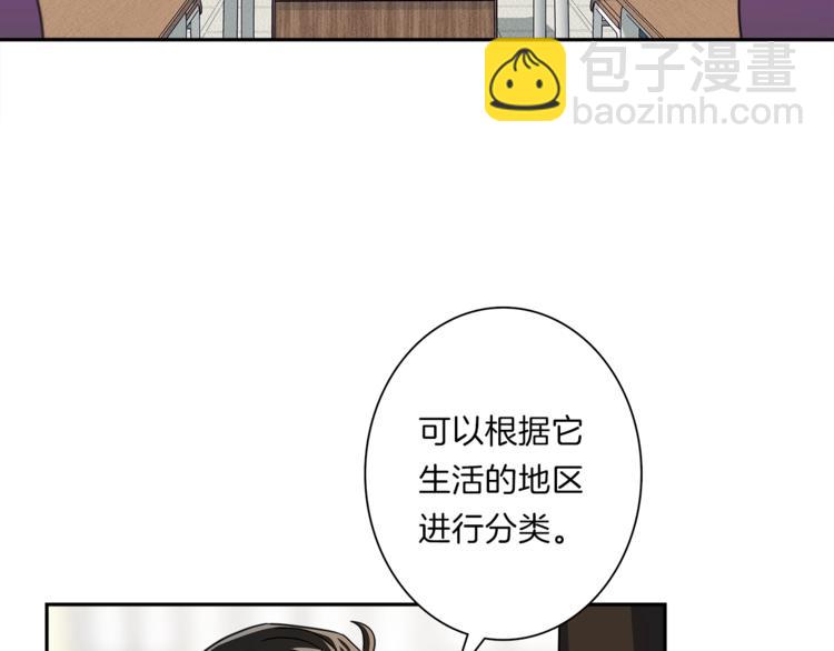 《我有一只三星龙》第43话 龙的分类 第25页