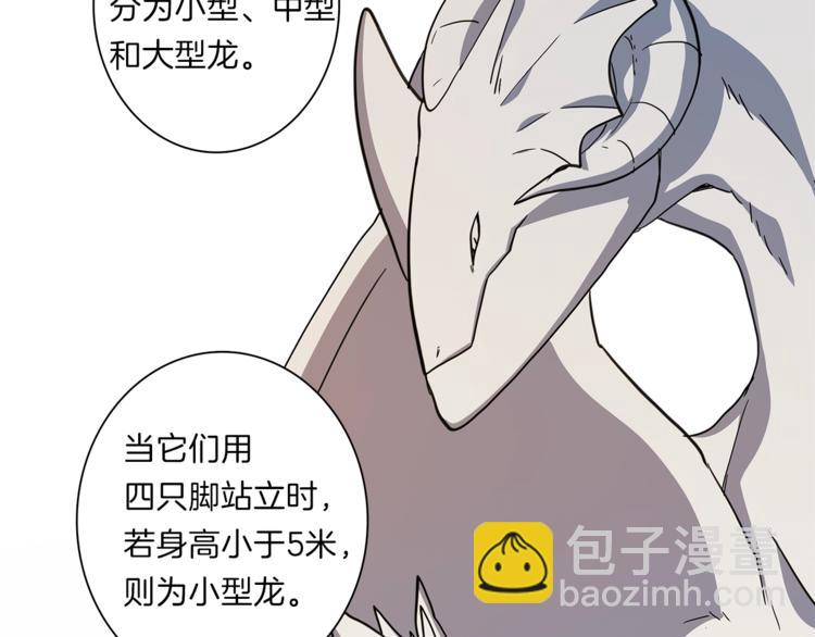 《我有一只三星龙》第43话 龙的分类 第31页