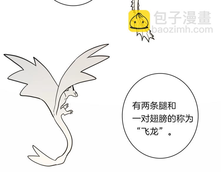 《我有一只三星龙》第43话 龙的分类 第38页