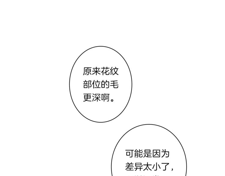 《我有一只三星龙》第41话 龙族危机 第2页