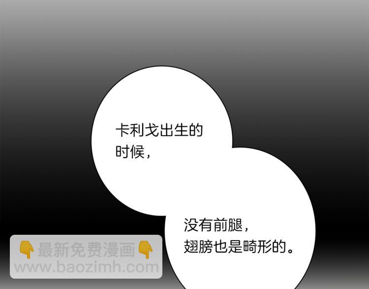 《我有一只三星龙》第45话 朋友还是商品 第41页