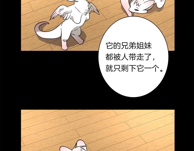 《我有一只三星龙》第45话 朋友还是商品 第47页
