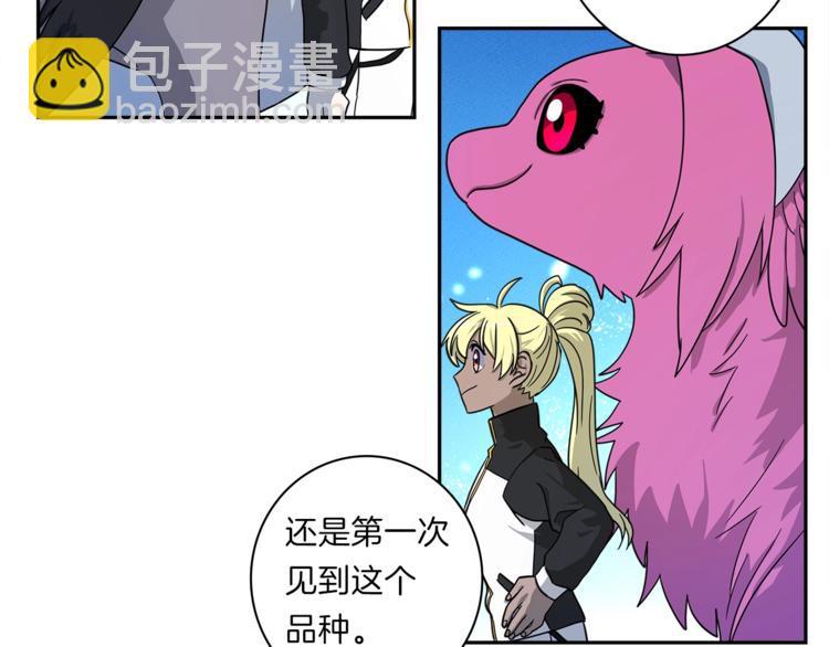 《我有一只三星龙》第49话 骑手和龙 第13页