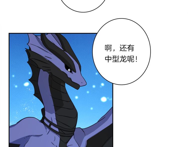 《我有一只三星龙》第49话 骑手和龙 第14页