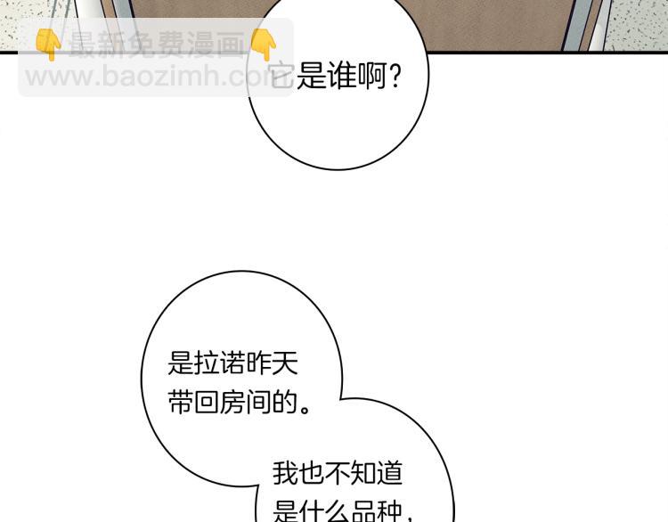 《我有一只三星龙》第66话 变种龙 第16页