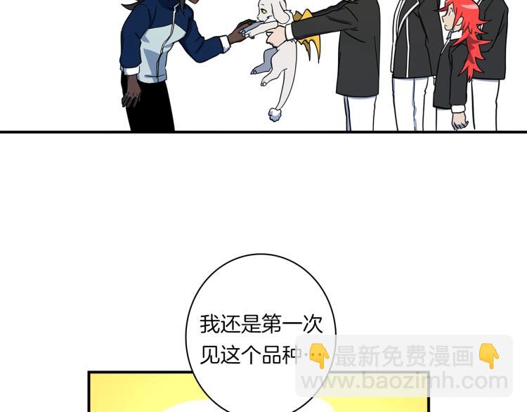 《我有一只三星龙》第66话 变种龙 第30页