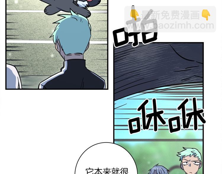 《我有一只三星龙》第77话 各自的优势 第23页