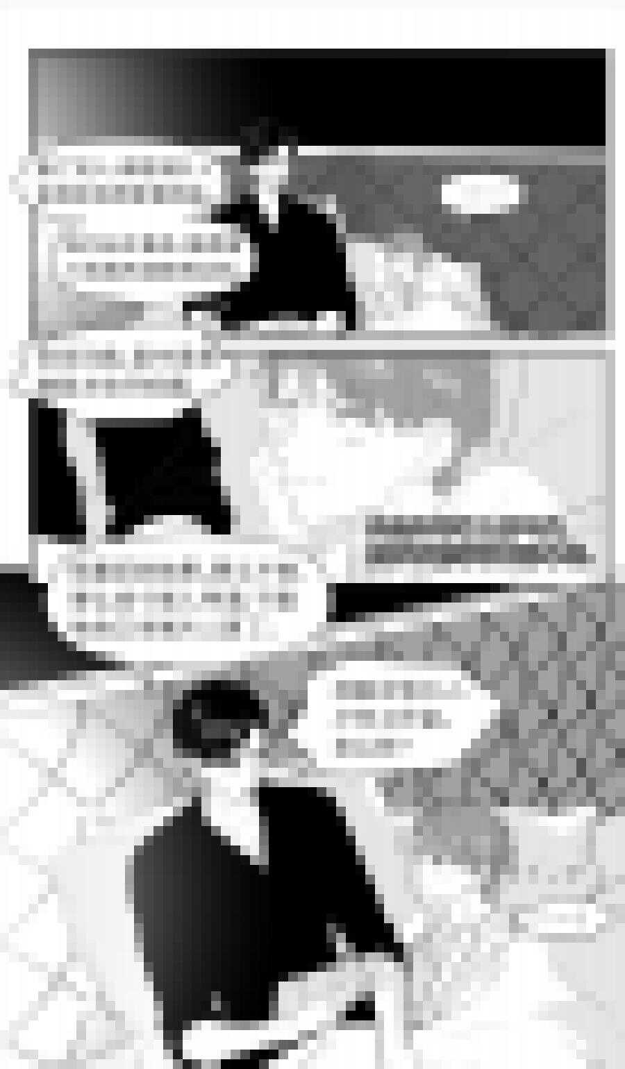 《金牌助理》219 chap.33.5 第1页