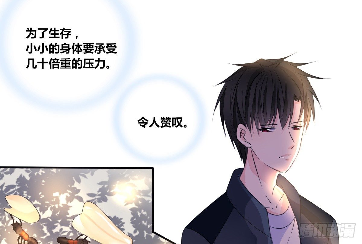 《公主的女王命》零灵是谁？ 第11页