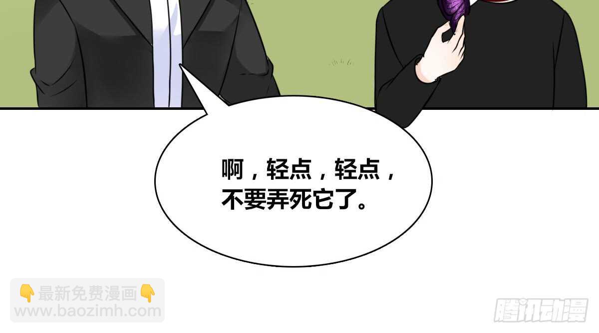 《公主的女王命》零豪上 第7页