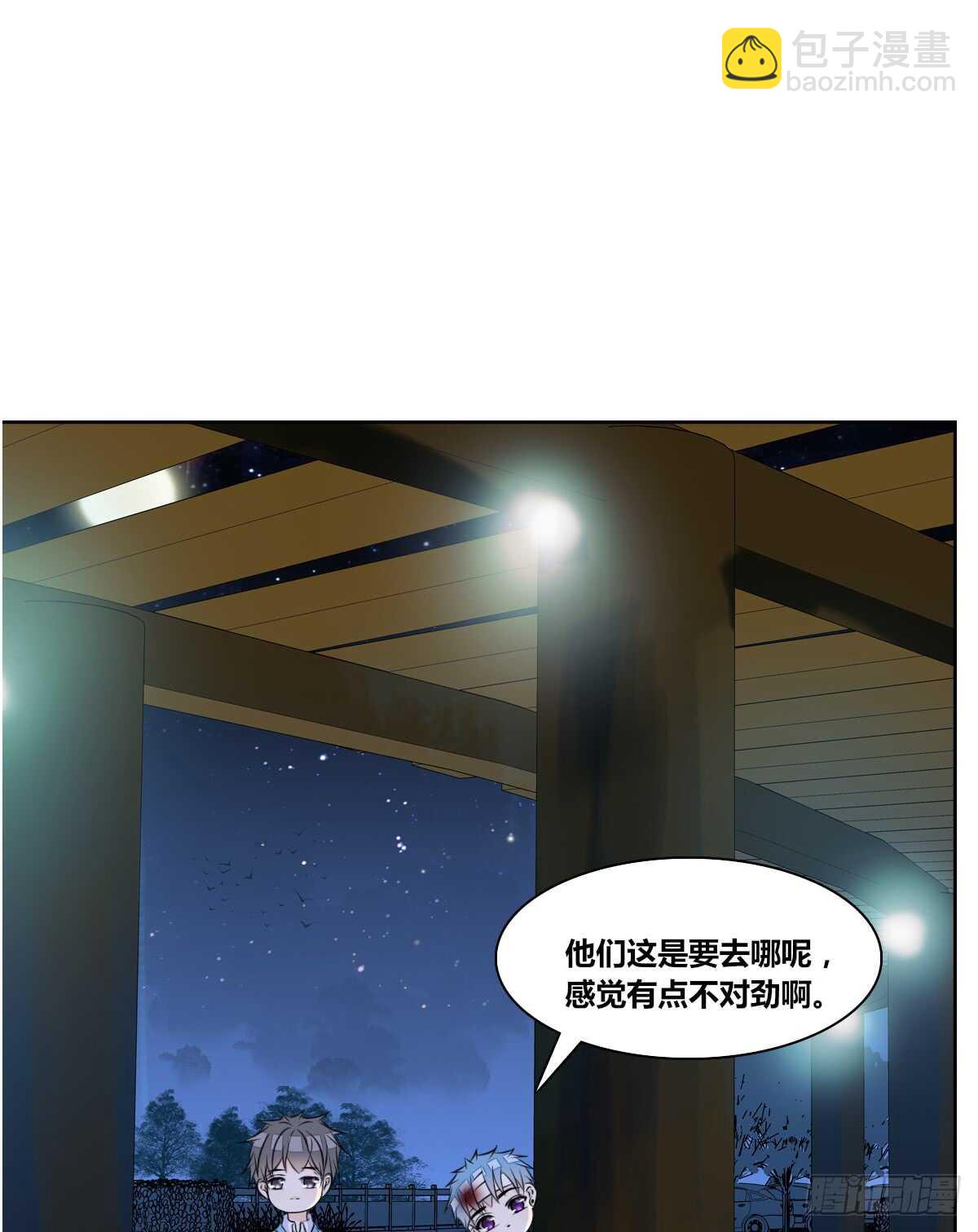 《公主的女王命》两个哥哥 第25页