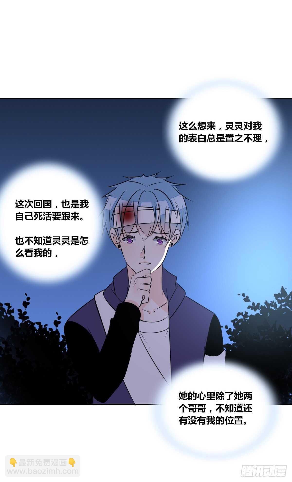 《公主的女王命》两个哥哥 第41页