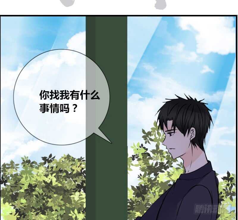 《公主的女王命》贪婪的人 第47页