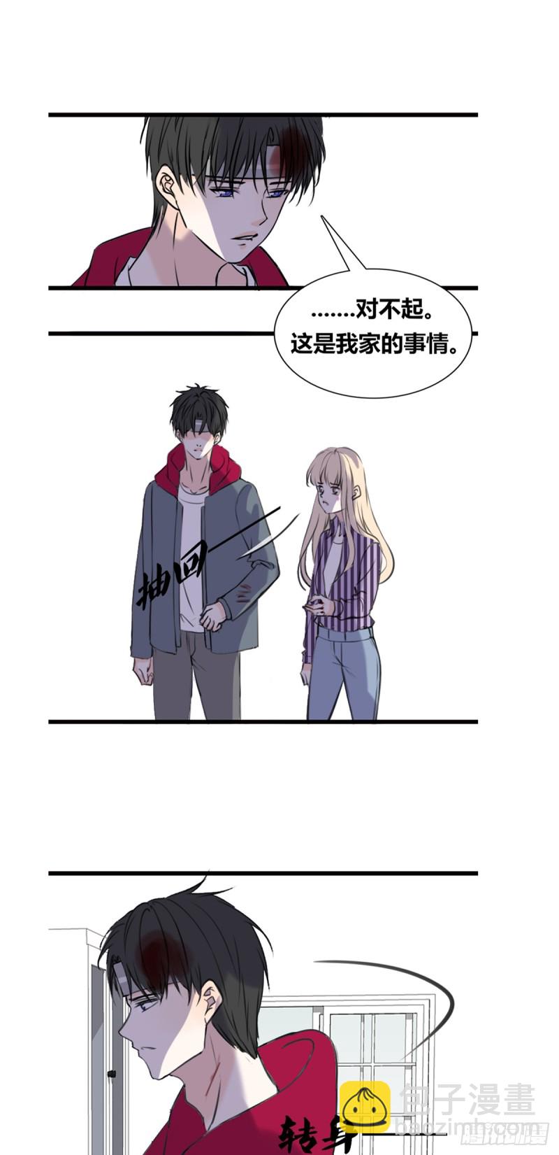 《公主的女王命》言泽的选择，沐允的呐喊 第11页