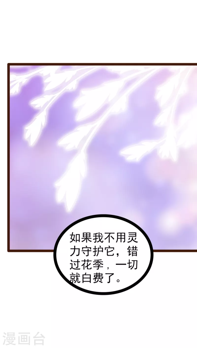 《霸道冥王恋上她》第126话 这是月光兰？！ 第11页