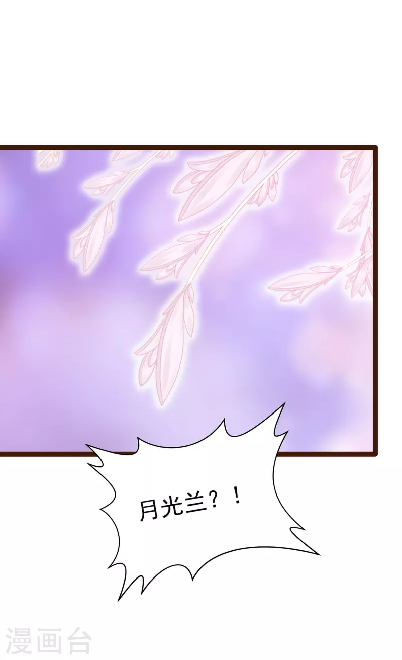 《霸道冥王恋上她》第126话 这是月光兰？！ 第13页