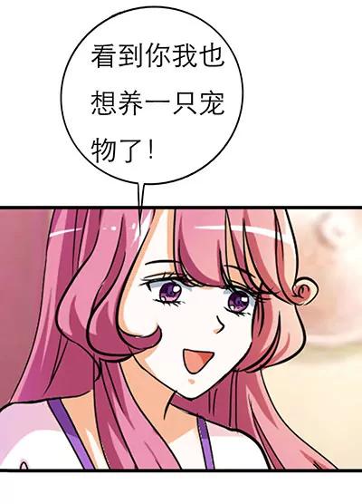 《这些神兽有点萌系列之通天嗜宠》第二十话 第14页