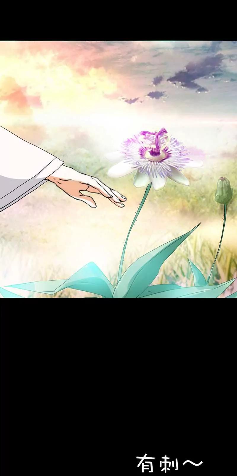 《这些神兽有点萌系列之通天嗜宠》第三十六话 第14页