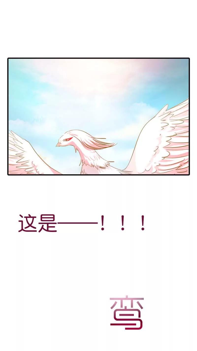 《这些神兽有点萌系列之通天嗜宠》第六十九话 第11页