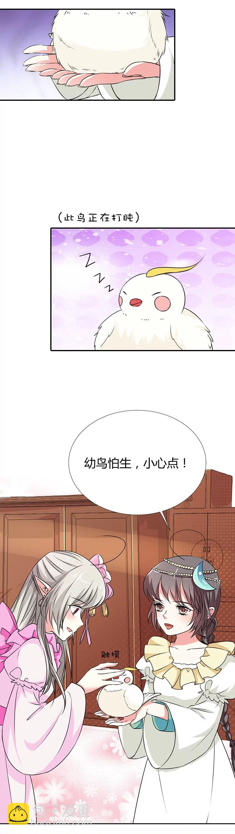 《这些神兽有点萌系列之通天嗜宠》情缘树 第3页