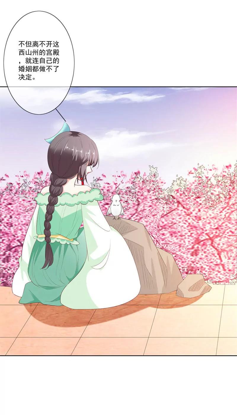 《这些神兽有点萌系列之通天嗜宠》哪壶不开提哪壶 第6页