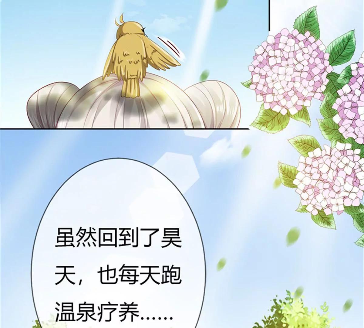 《这些神兽有点萌系列之通天嗜宠》完结篇昊天复命 第4页