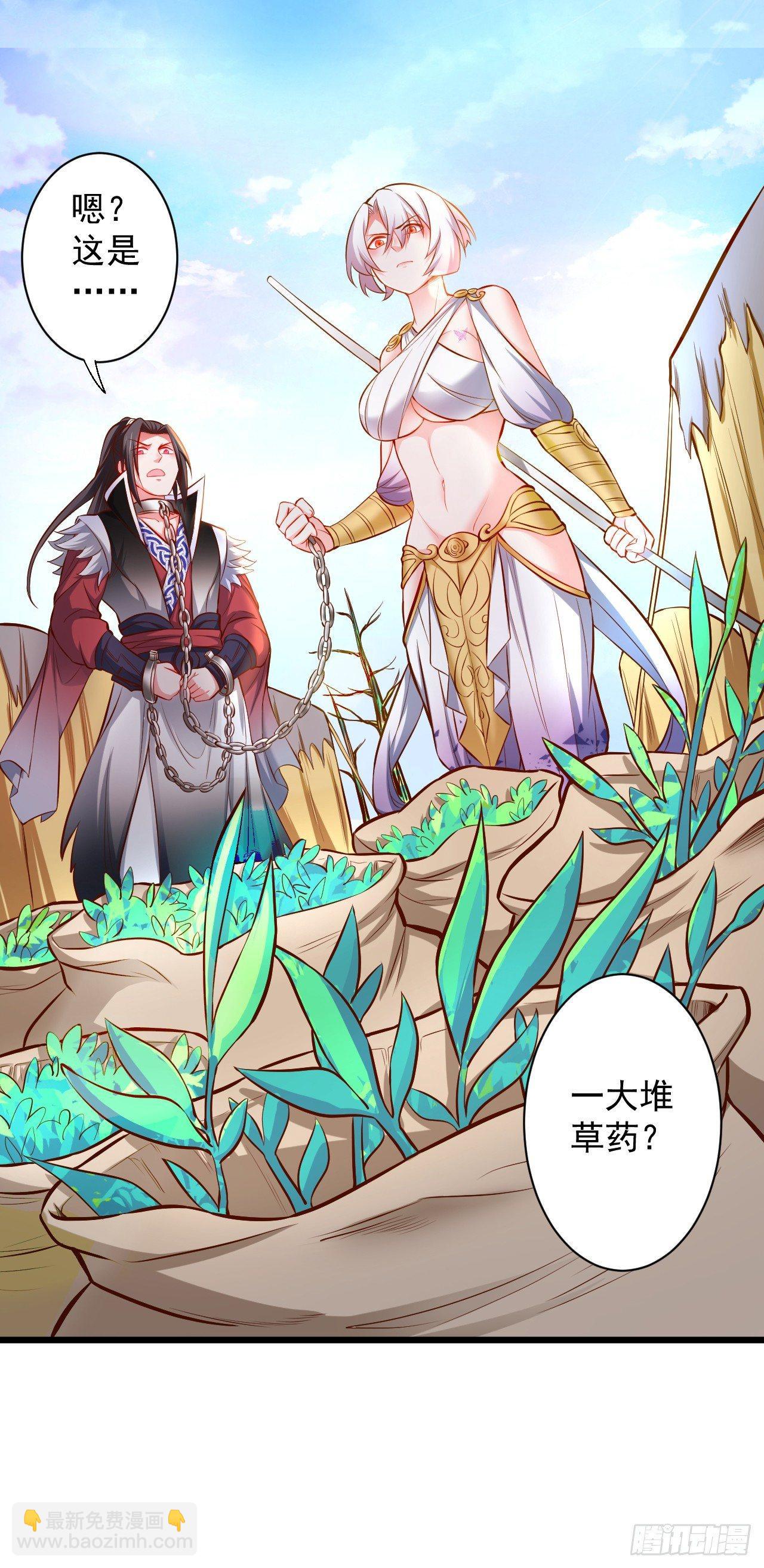 《重生之最强魔尊赘婿（旧）》苏子识药春还暖 第22页