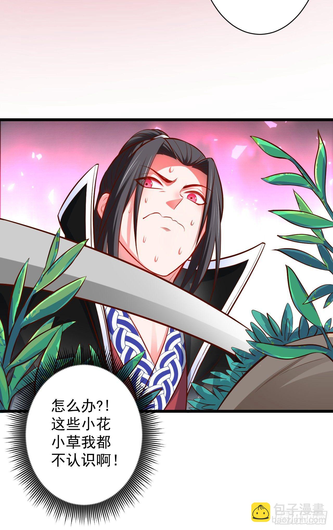《重生之最强魔尊赘婿（旧）》苏子识药春还暖 第29页
