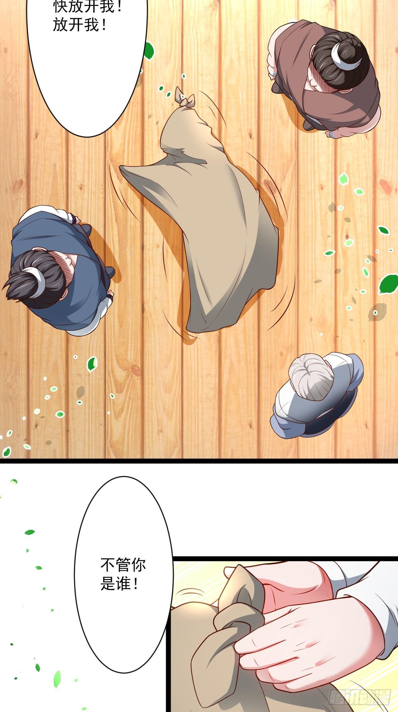 《重生之最强魔尊赘婿（旧）》走马观花拜外婆 第22页