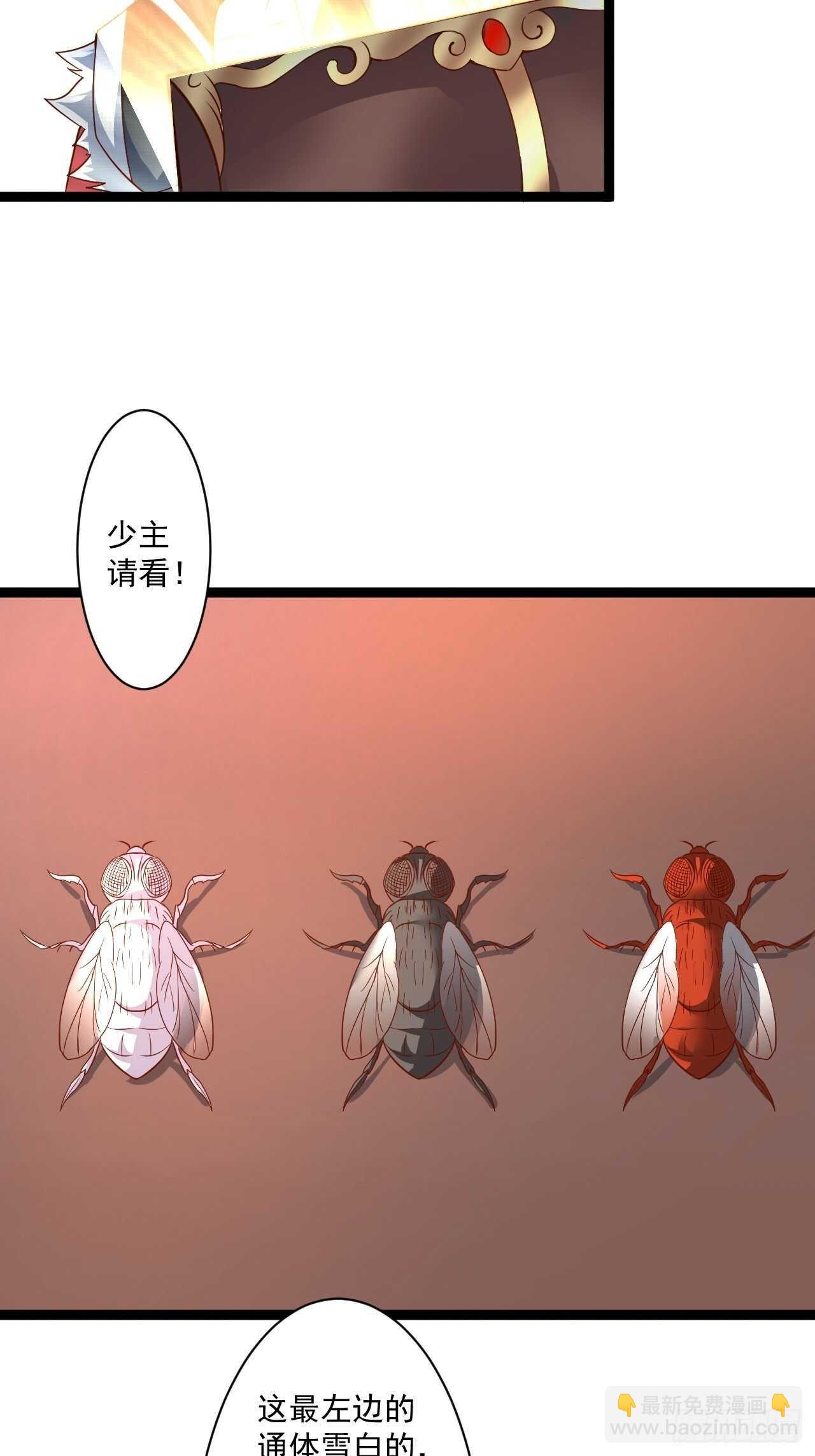 《重生之最强魔尊赘婿（旧）》苏子变蝇巧探敌 第17页