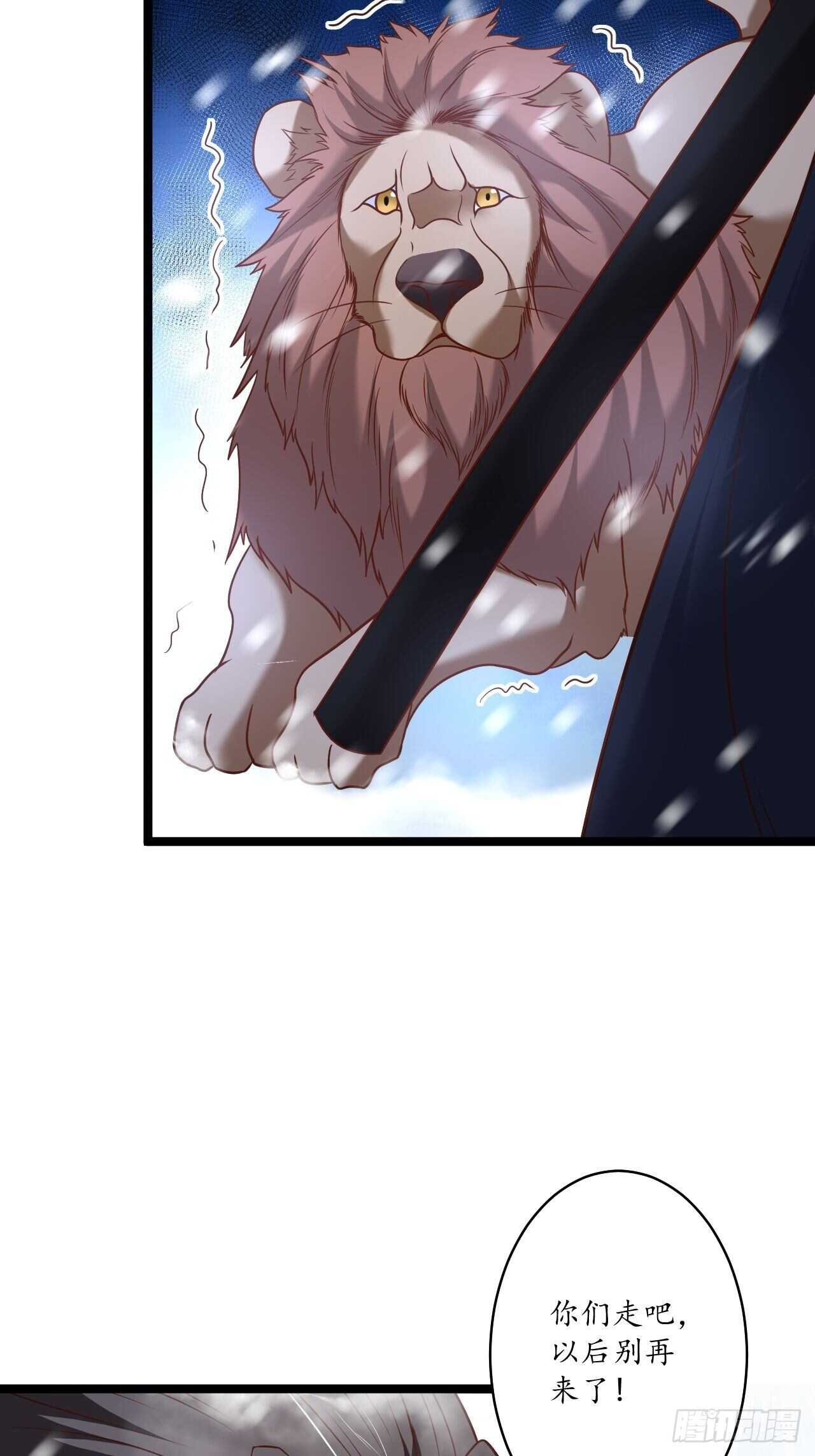 《重生之最强魔尊赘婿（旧）》巾帼霸妻勐赛虎 第13页