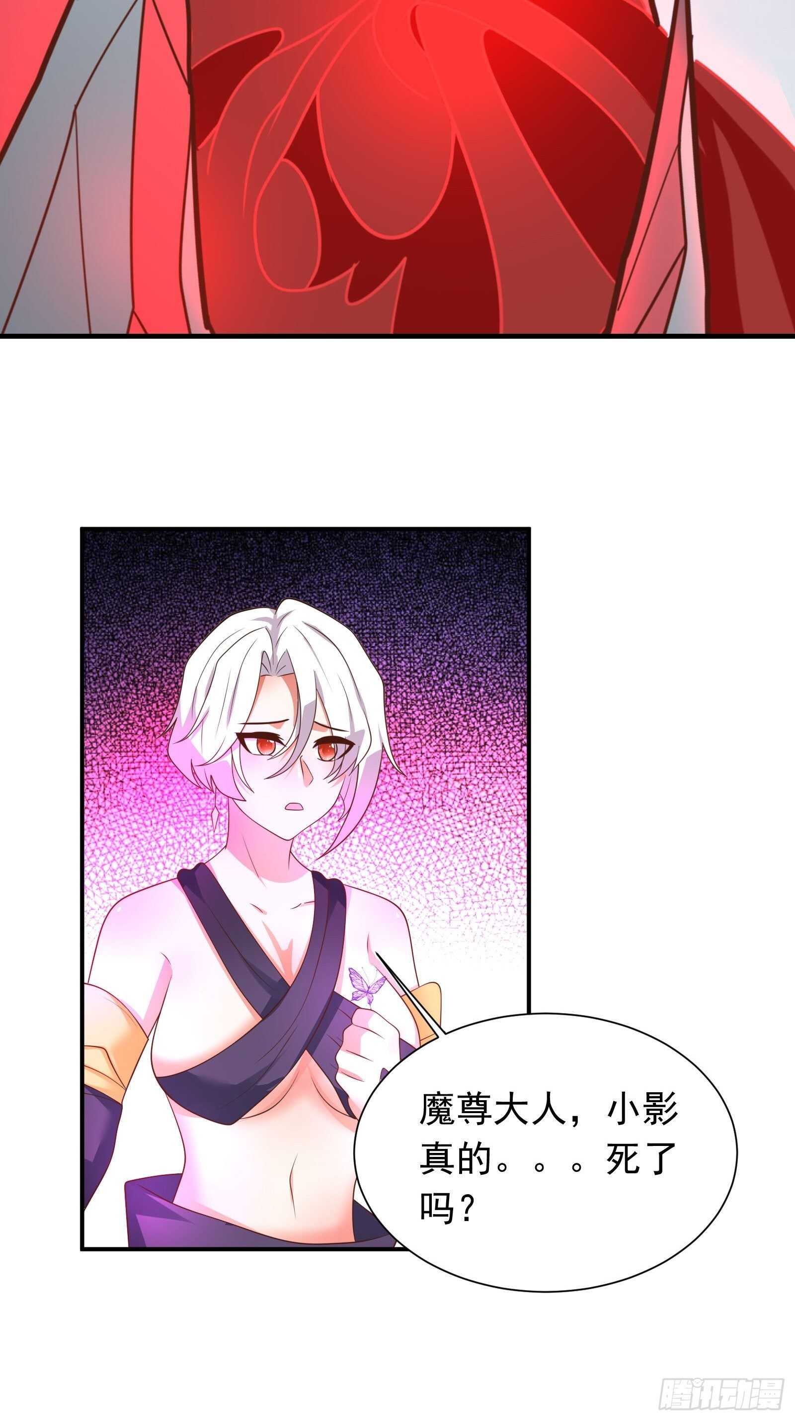 《重生之最强魔尊赘婿（旧）》魔影浮屠公孙计 第14页