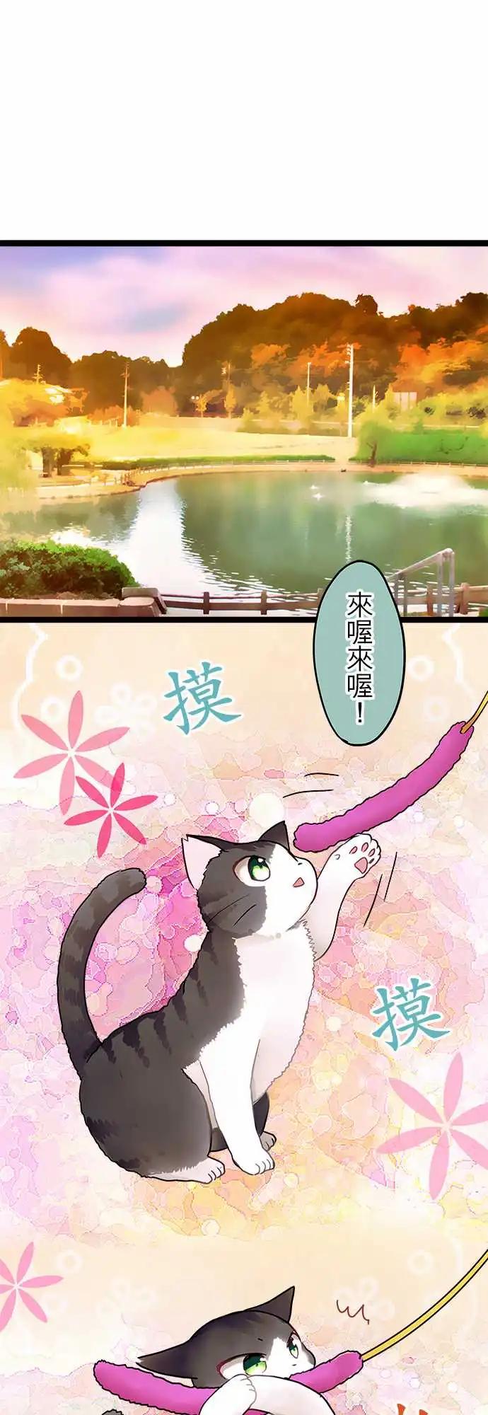 《纯白色恋人》11-我讨厌这个 第1页
