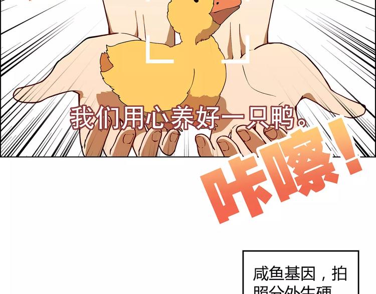 《花样务农美男》第38话 阴谋？ 第41页