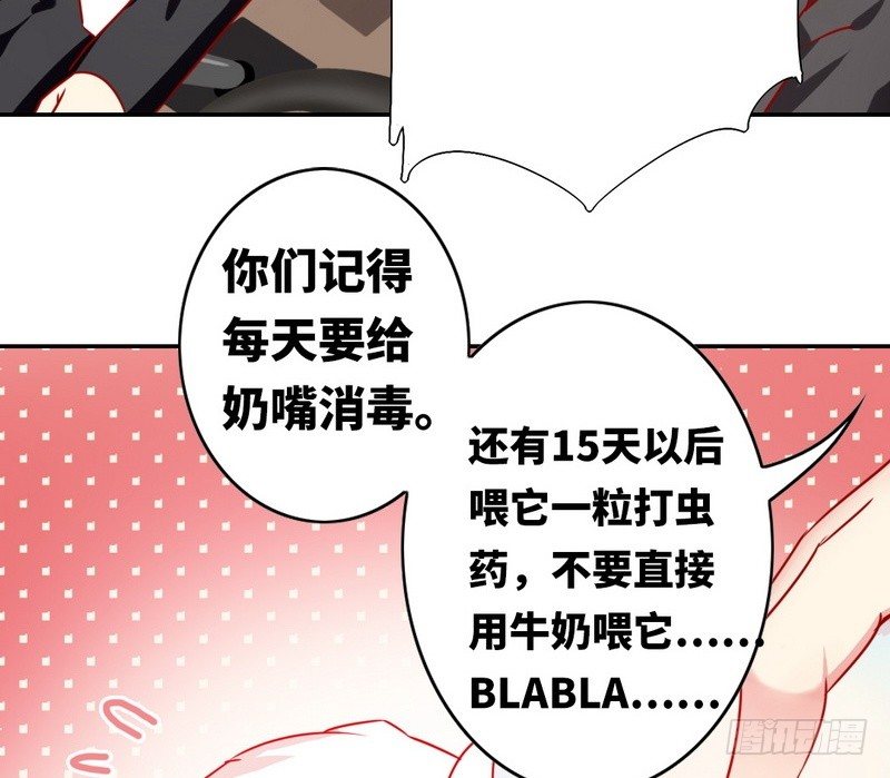 《腹黑少爷小甜妻》第15话 珍惜 第10页