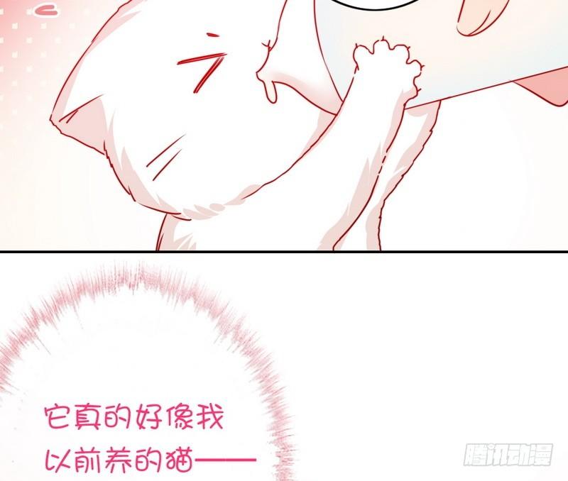 《腹黑少爷小甜妻》第15话 珍惜 第11页