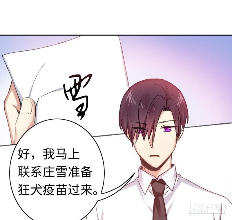 《腹黑少爷小甜妻》第59话 鉴定书 第16页