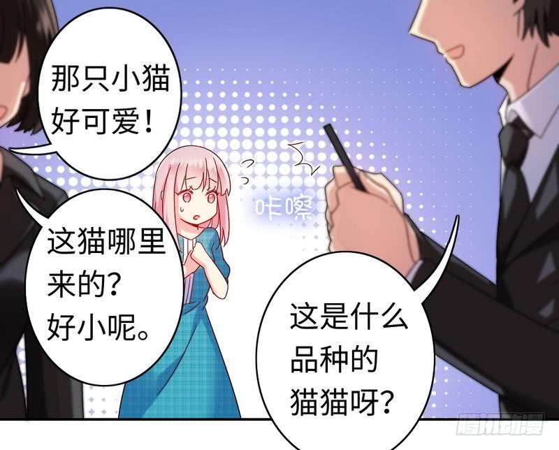 《腹黑少爷小甜妻》第59话 鉴定书 第3页