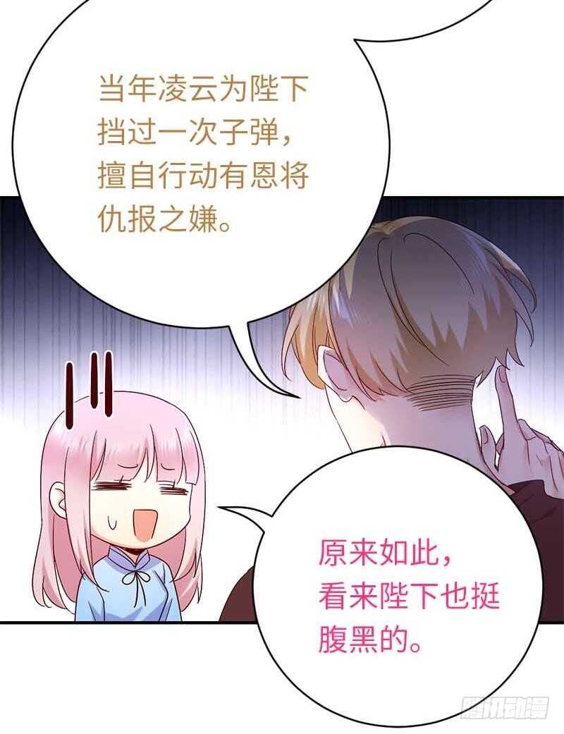 《腹黑少爷小甜妻》第117话 皇位继承人 第30页