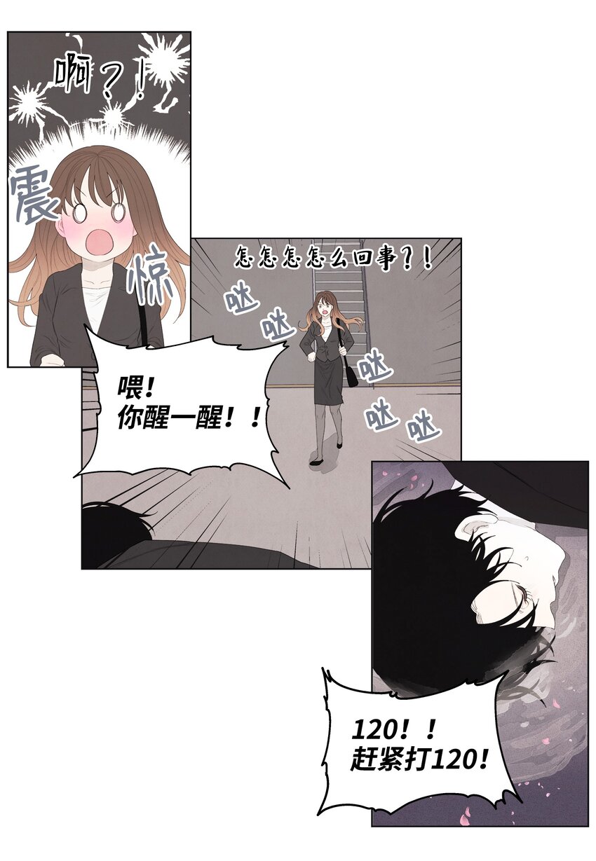 《凤凰爱史》02 今生的相见 第29页
