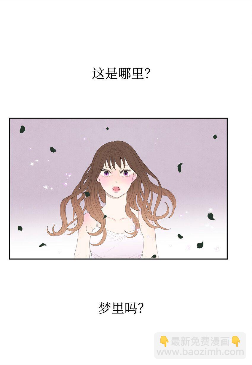 《凤凰爱史》03 奇怪的梦 第3页