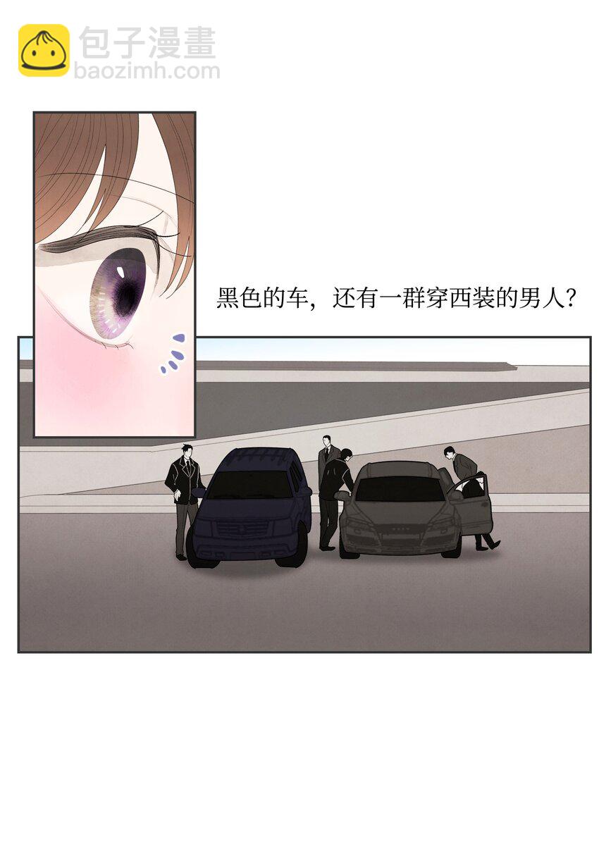 《凤凰爱史》01 前世姻缘 第46页