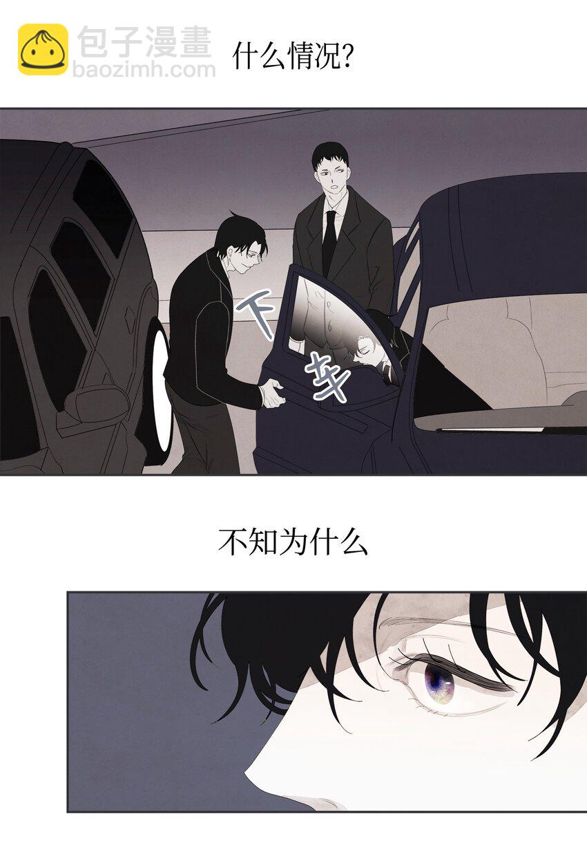 《凤凰爱史》01 前世姻缘 第47页