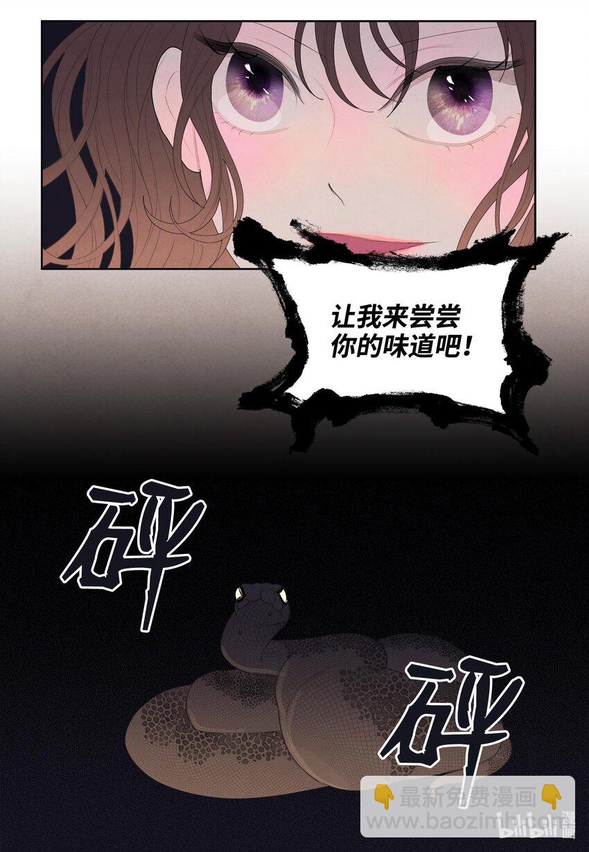 《凤凰爱史》13 凤与凰 第11页
