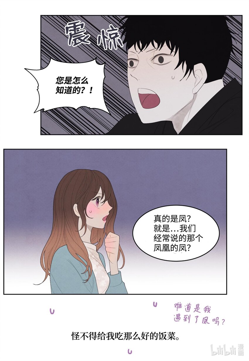 《凤凰爱史》13 凤与凰 第23页