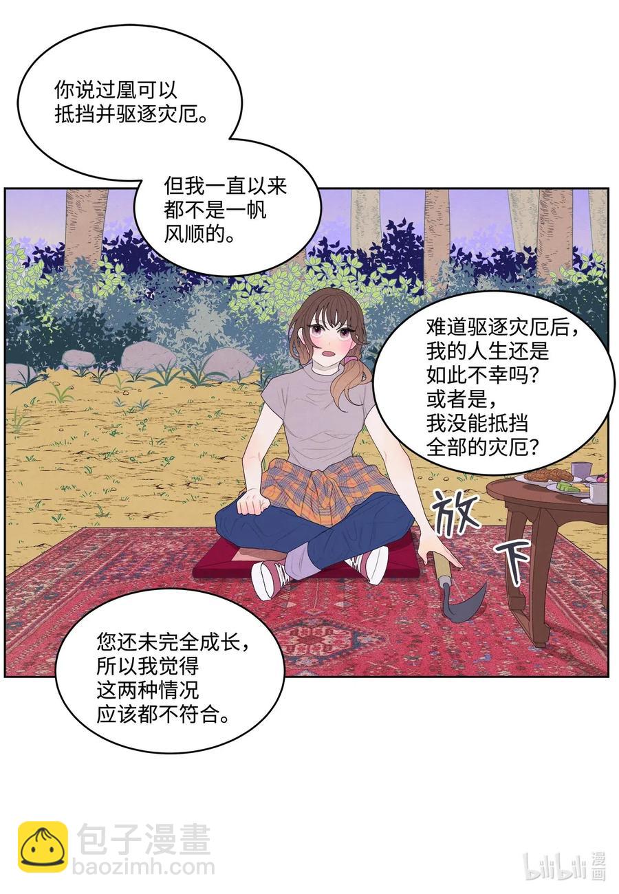 《凤凰爱史》16 承诺 第26页