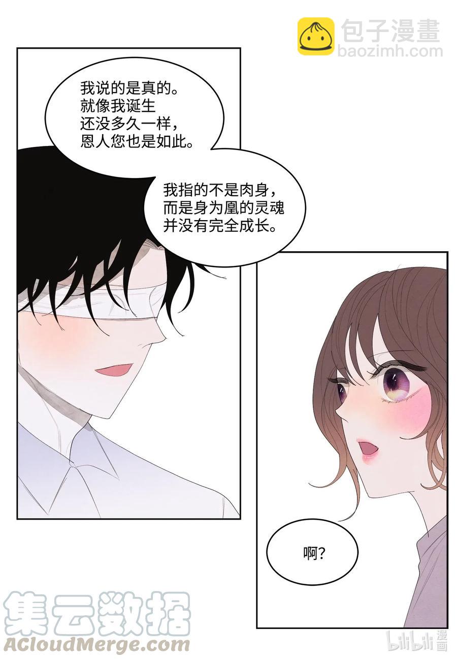 《凤凰爱史》16 承诺 第28页